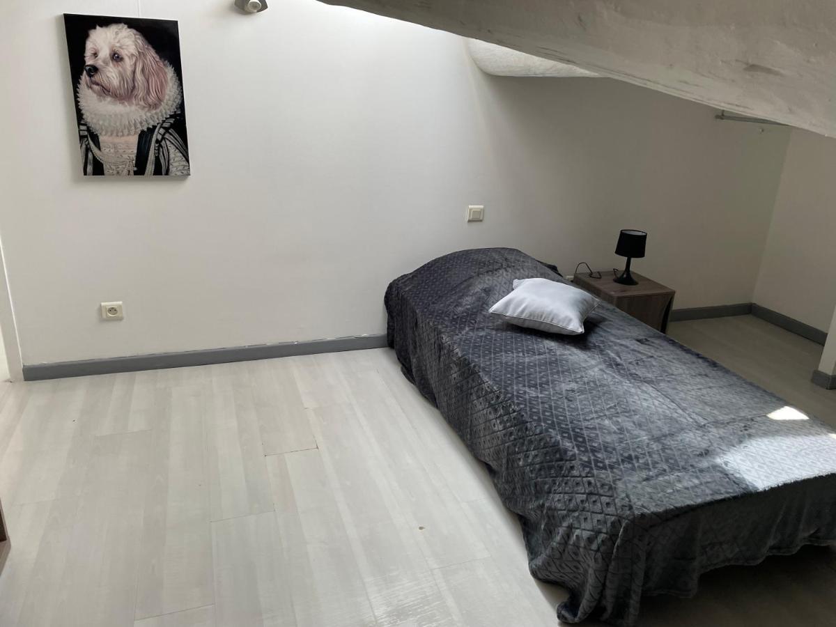 Appartement Des Penitents Saintes-Maries-de-la-Mer Zewnętrze zdjęcie